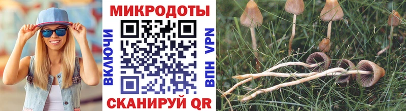 Галлюциногенные грибы Magic Shrooms  кракен   Красково 