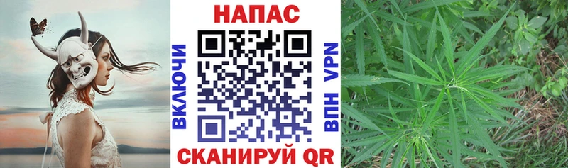 Конопля марихуана  что такое наркотик  Красково 